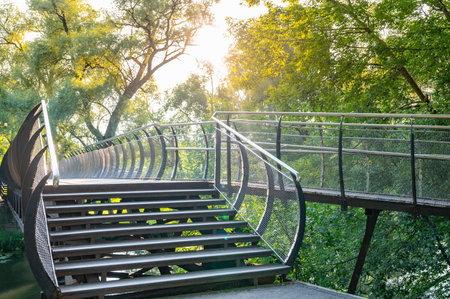 Curved pedestrian bridge features metal railings and steps, set in a lush green park with sunlight filtering through trees. The design blends seamlessly with the natural environment.の写真素材