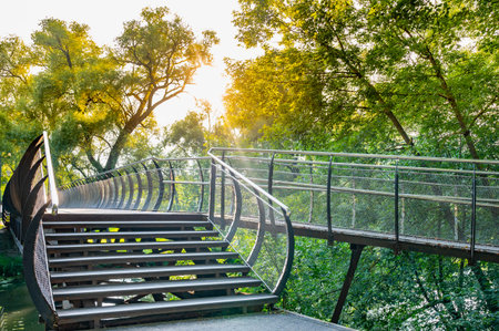 Curved pedestrian bridge features metal railings and steps, set in a lush green park with sunlight filtering through trees. The design blends seamlessly with the natural environment.の写真素材