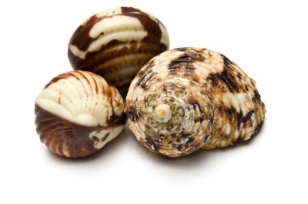 Periwinkle dessert and decoration isolated on whiteの写真素材