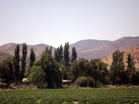 agricultureの写真素材