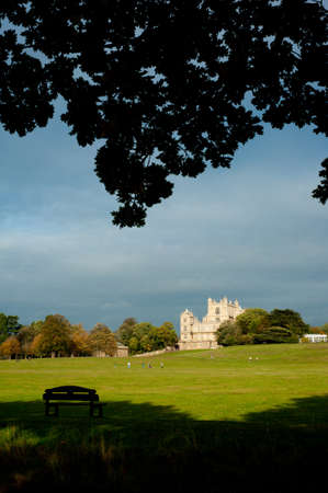 Autumn Fall Woodland walk at Stately Homeのeditorial素材