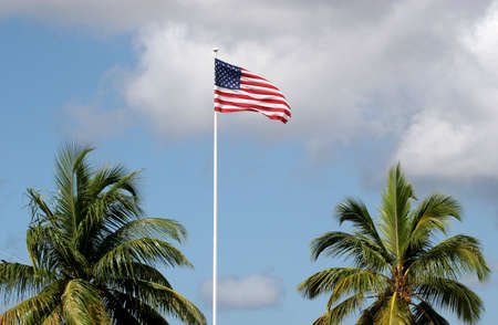 American Flag in sky between two palm treesの写真素材