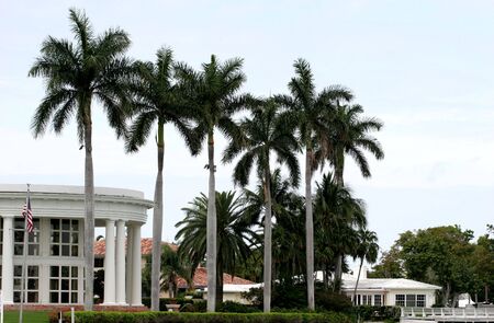 A tropical mansion with palm trees in frontの写真素材
