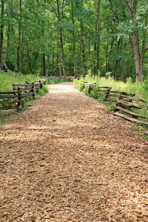 A natural wood chip trail into the forestの写真素材