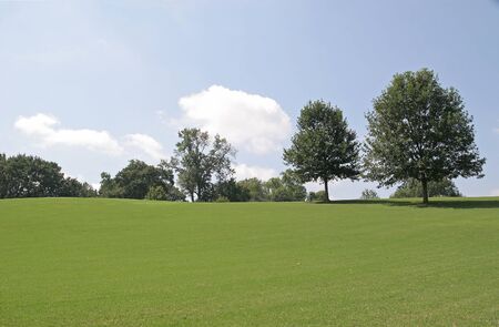 A grassy hill rising to a blue sky with treesの写真素材