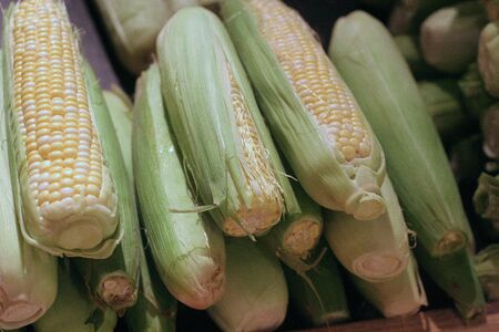 Fresh corn in front of a vegetable market under morning sunの写真素材
