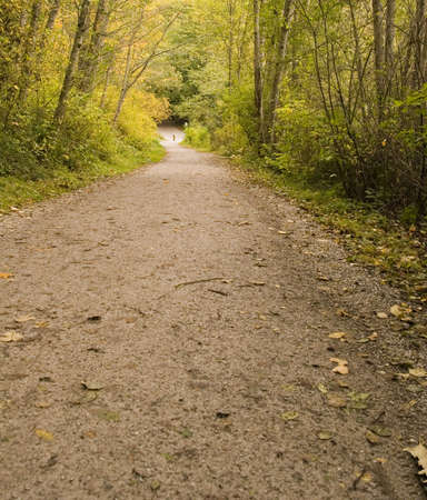 A walking path through a woodland parkの写真素材