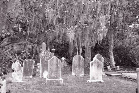 An old cemetery on a grassy lawn with oak trees and spanish mossの写真素材