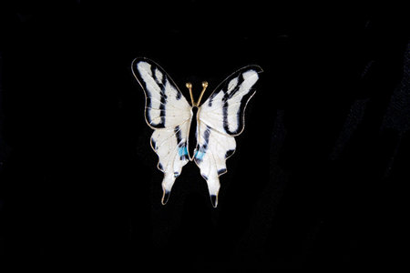 A colorful butterfly pin on a black backgroundの写真素材