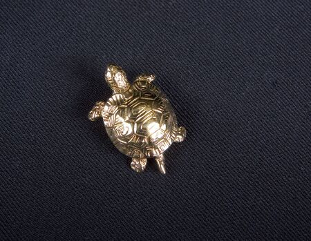 A gold turtle pendant on a black backgroundの写真素材