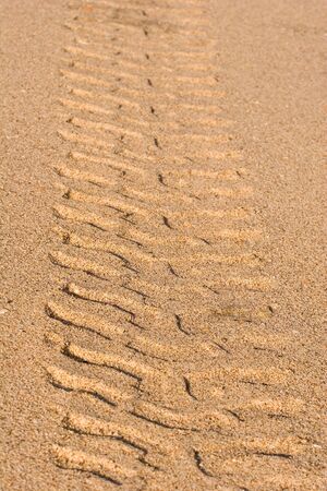 A wide tire tread down a sandy beachの写真素材