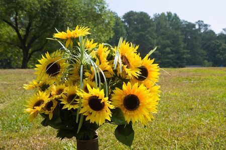A vase of bright sunflowers in a field of grassの写真素材