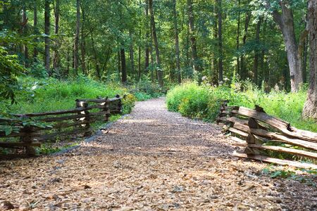 A trail of wood chips between two split rail fences leading into the forestの写真素材