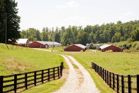 A gravel road line by fences leading to red barnsの写真素材
