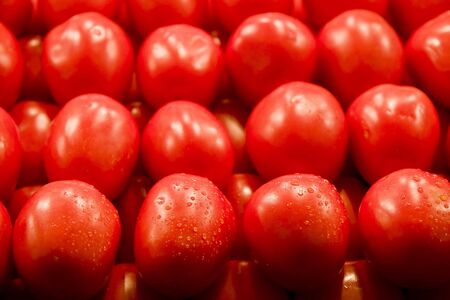 Rows of fresh red plum tomatoes in a vegetable marketの写真素材