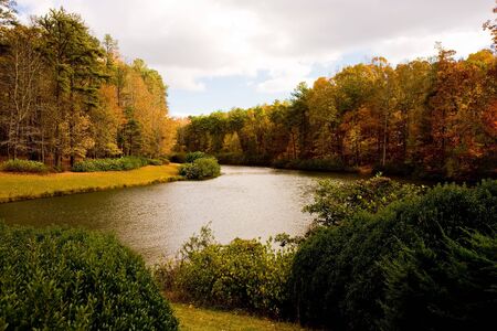 A lake and trees in the fall of the yearの写真素材