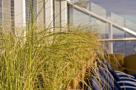 Grass in planters on a cruise shipの写真素材