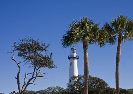 Palm trees against a blue sky in front of a white lighthouseの写真素材