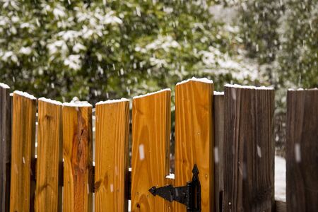 Snow on a board fence with evrgreens in the backgroundの写真素材