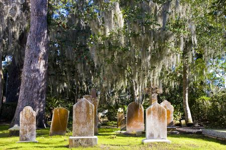 An old cemetery in the southern United States under oak trees and spanish mossの写真素材
