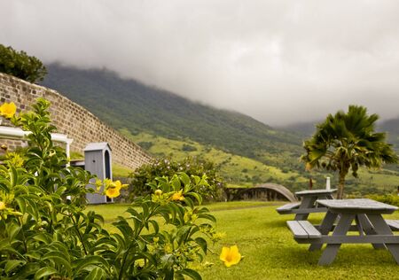A picnic table in a tropical settingの写真素材