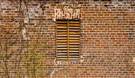 A wood slat window on old ivy covered brickの写真素材