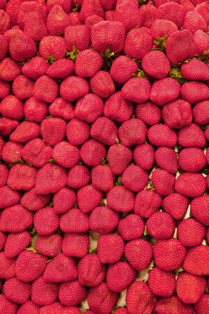 A background of ripe delicious red strawberriesの写真素材