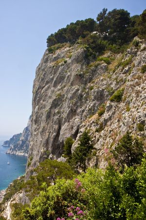 Colorful flowers on the steep cliffs of Capri Italy in the Bay of Naplesの写真素材