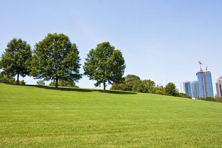 Trees on a grassy hill in a public park with buildings in the backgroundの写真素材