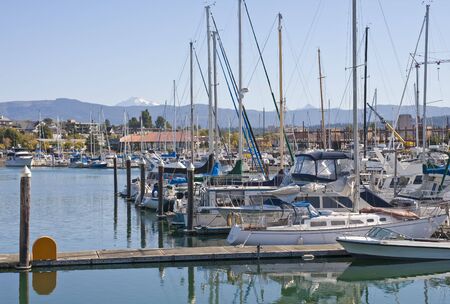 New sailboats lined up at a marina in calm blue waterの写真素材