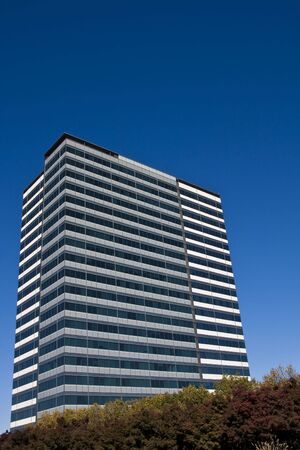 A modern blue and white office building rising out of the rees toward a blue skyの写真素材