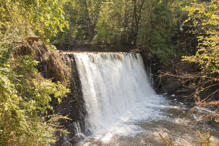 Light filtering through the trees onto a waterfall