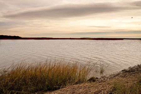 A wetland marsh under cloudy skies in winterの写真素材