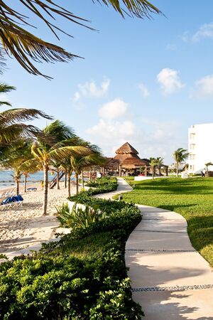 A sidewalk beside palm trees and a tropical beachの写真素材