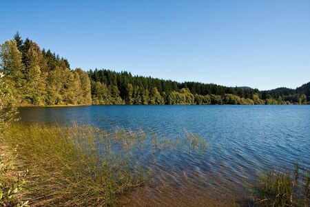 Shoreline of a peaceful lake in the Pacific Northwestの写真素材