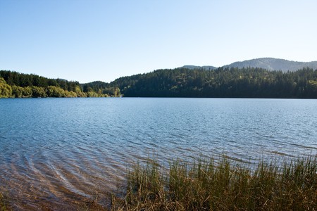 Shoreline of a peaceful lake in the Pacific Northwestの写真素材