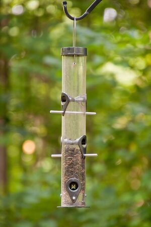 A hanging bird feeder in a forestの写真素材