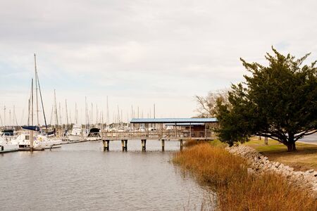A pier to sailboats in the winter on a marshy coastの写真素材