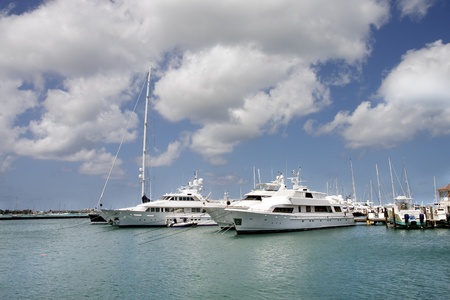 Many white luxury yachts and sailboats in a calm blue harborの写真素材