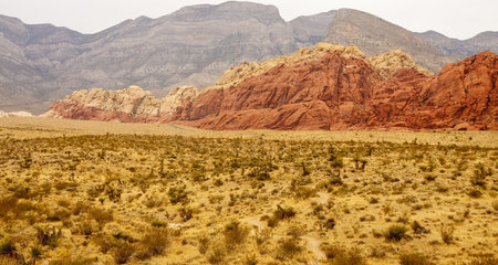 Desert with scrub brush leading up to red rock hillsの写真素材