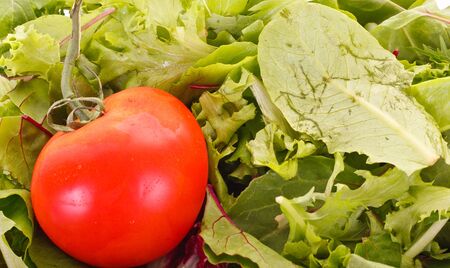 Mixed Salad Greens with a Fresh Red Tomato on Topの写真素材