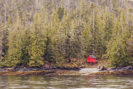 An evergreen forest on the edge of the water with a red cabinの写真素材