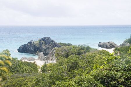 Pink sand beaches beynd tropical foliage on coast of Bermudaの写真素材