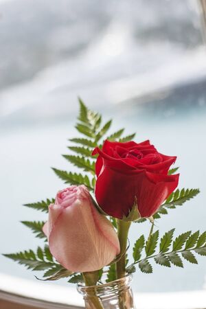 A red and a pink rose in a vase with green fernの写真素材