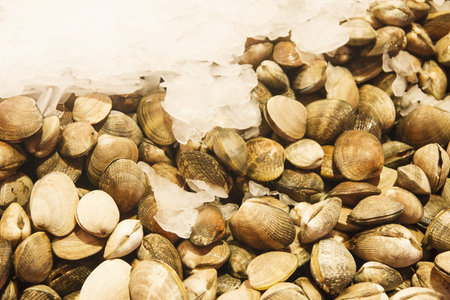 Clams on ice for sale in a seafoof market