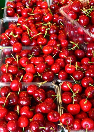 Fresh, red, ripe cherries in plastic containersの写真素材