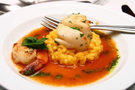 An appetizer of shrimp and scallops on risotto and sauceの写真素材