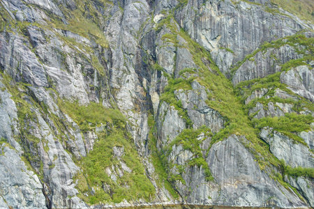 A rock face of an Alaskan mountain covered in moss and lichens