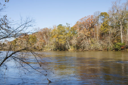A wide, calm river in late autumn under clear blue skiesの写真素材