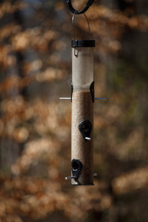 A bird feeder with birdseed and perches in a forest